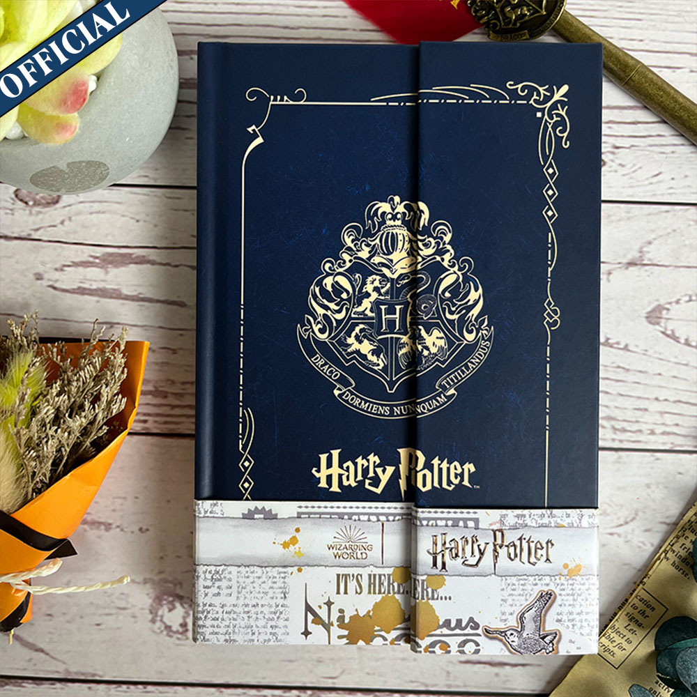 Véritable Harry Potter magique - Art Book Illustration avis et prix