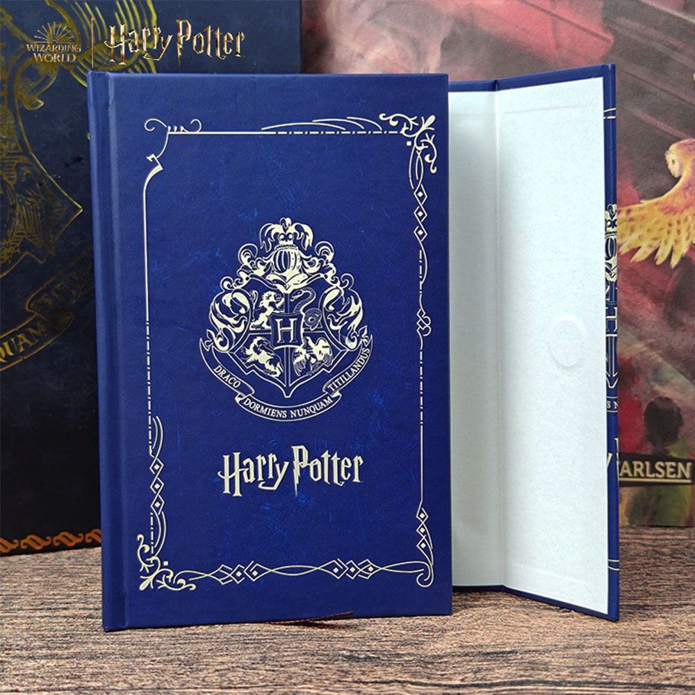 Véritable Harry Potter magique - Art Book Illustration avis et prix