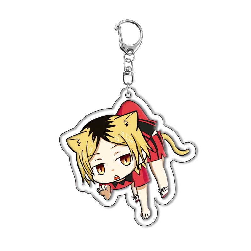 Haikyuu!! Porte-clés en acryli - Anime Merchandise Keychain avis et prix